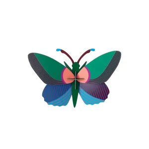 Acacia Butterfly